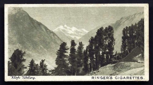 Edwards ringer bigg - &,
